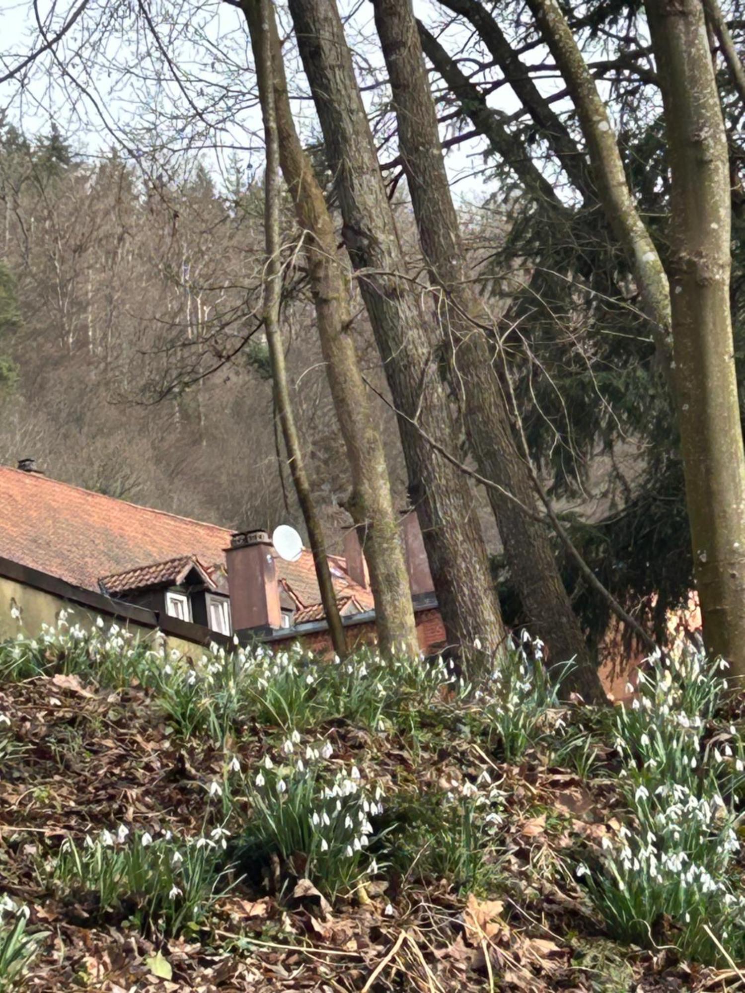 Villa Am Fluss Pforzheim Exteriér fotografie