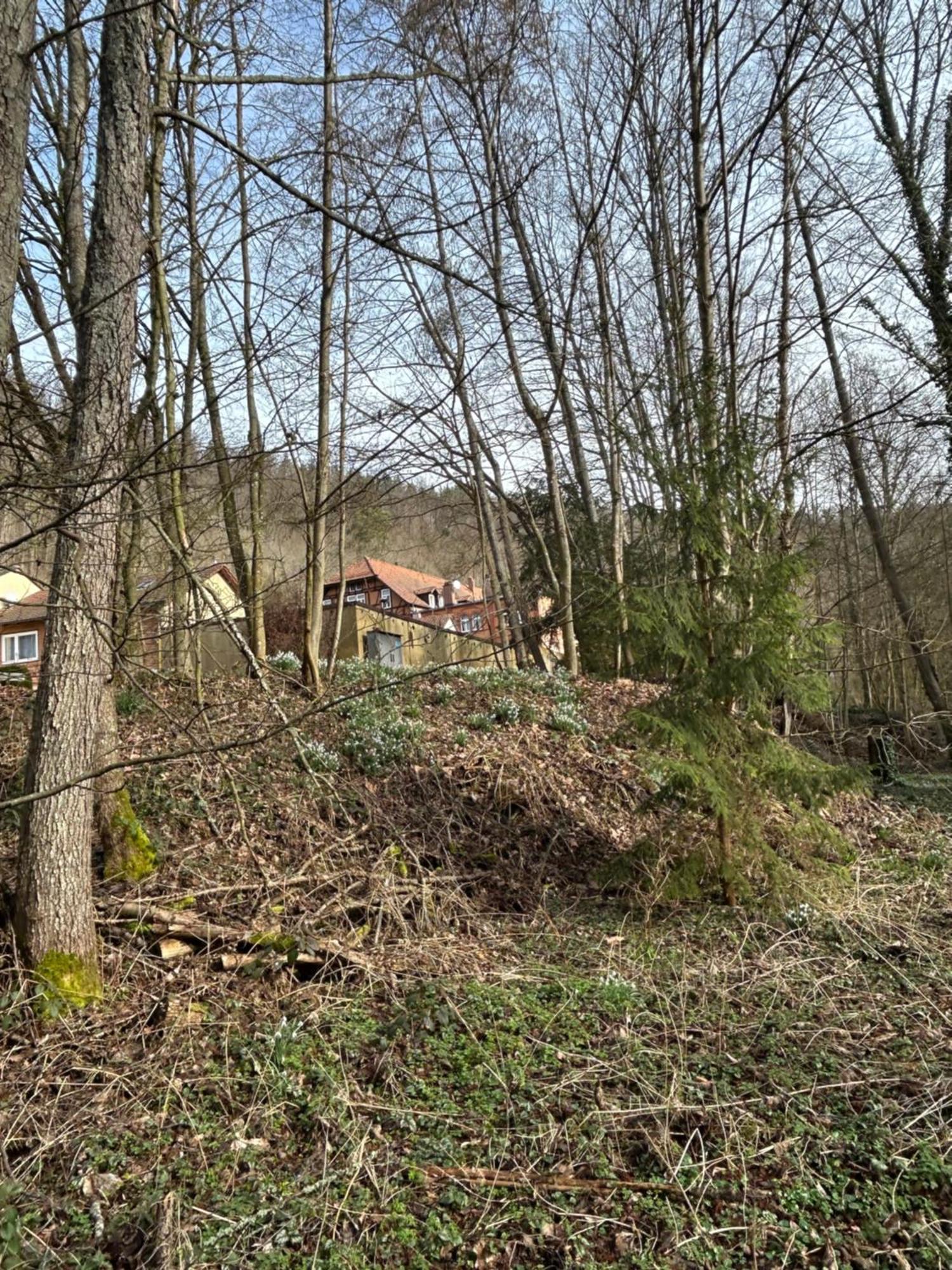 Villa Am Fluss Pforzheim Exteriér fotografie