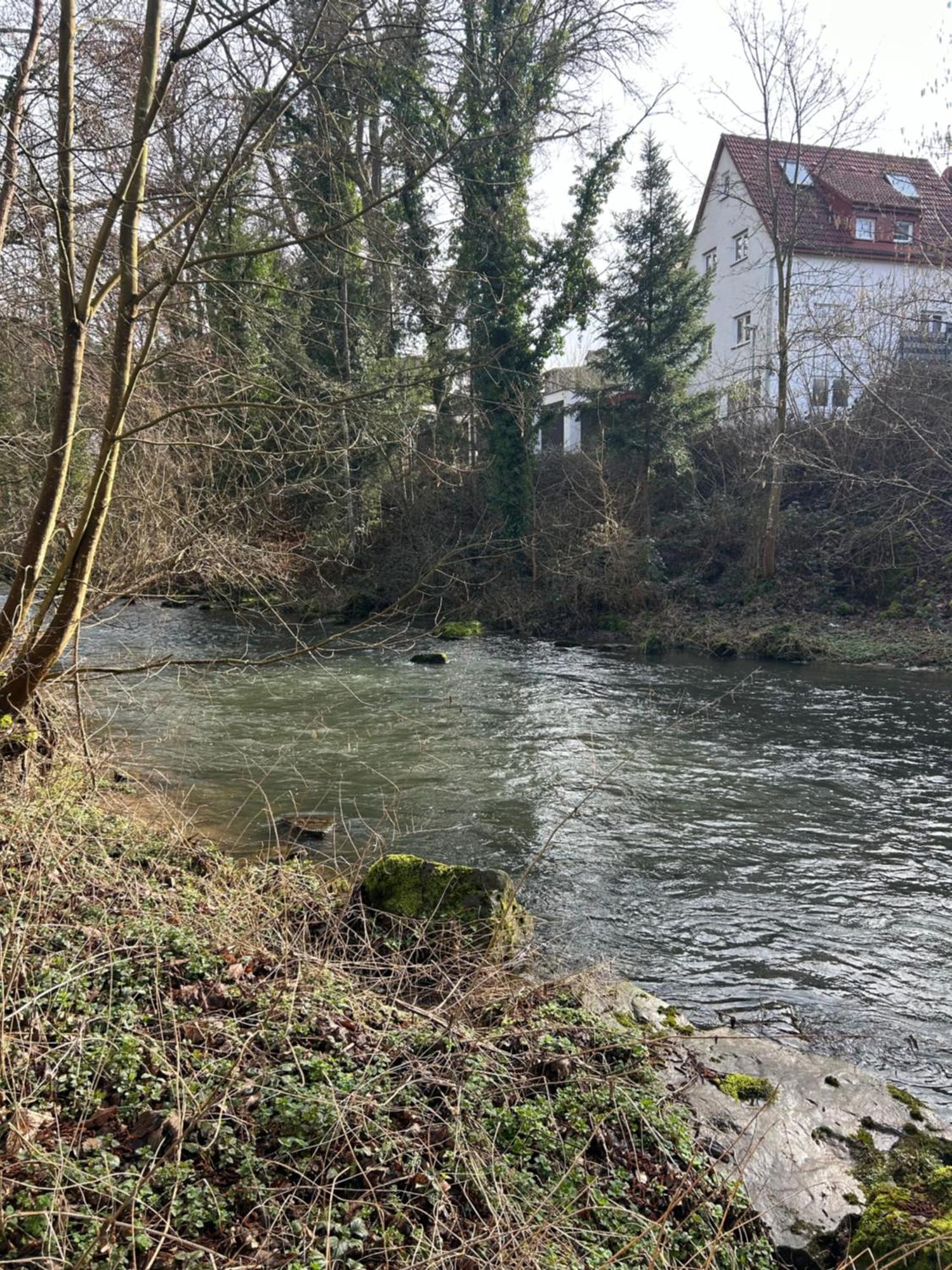 Villa Am Fluss Pforzheim Exteriér fotografie