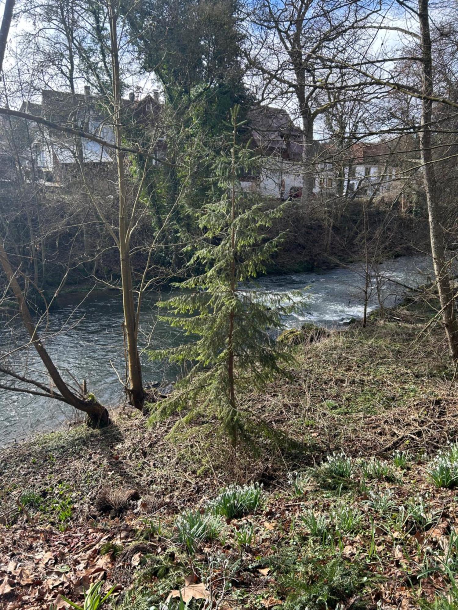Villa Am Fluss Pforzheim Exteriér fotografie