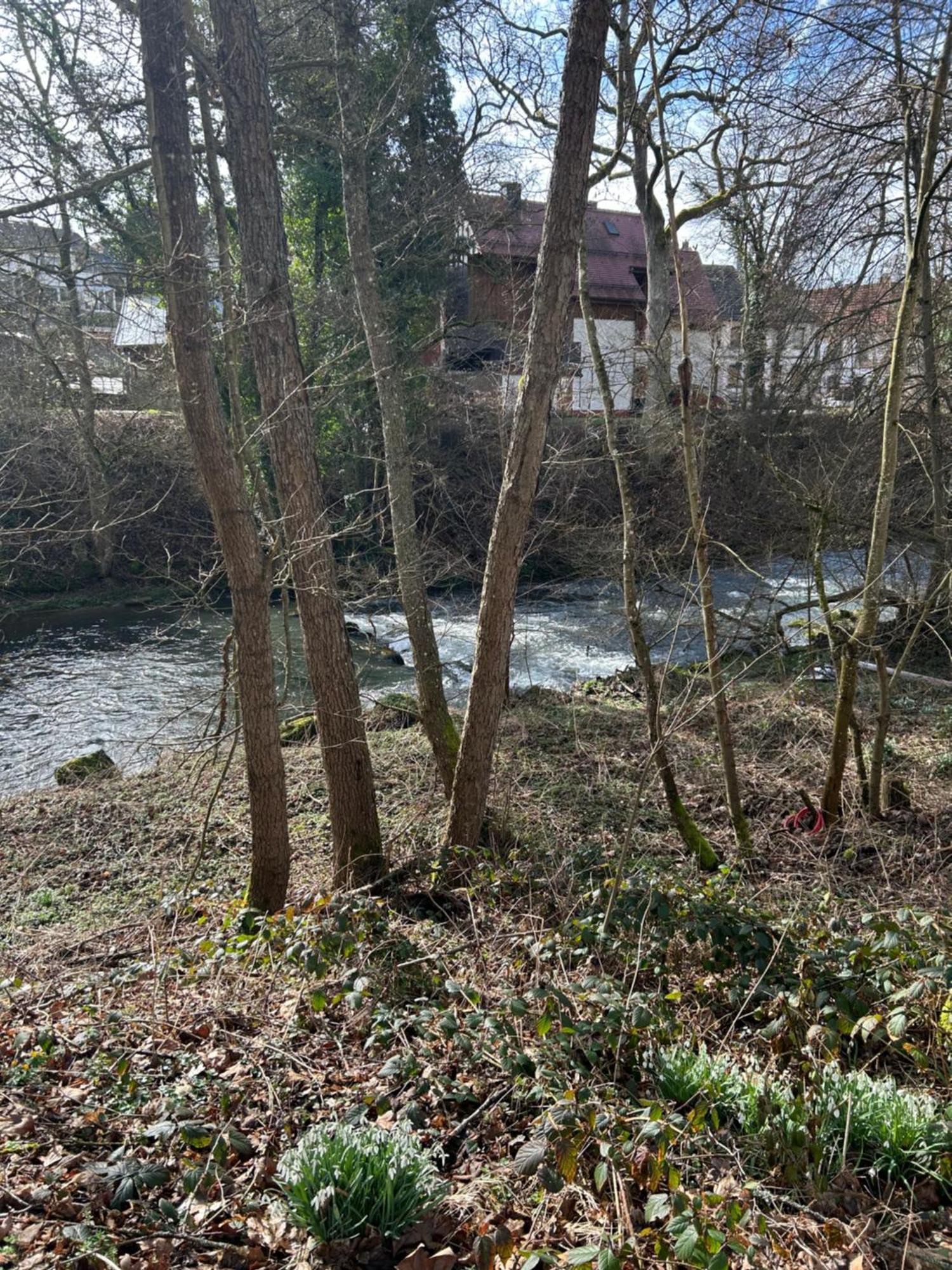 Villa Am Fluss Pforzheim Exteriér fotografie
