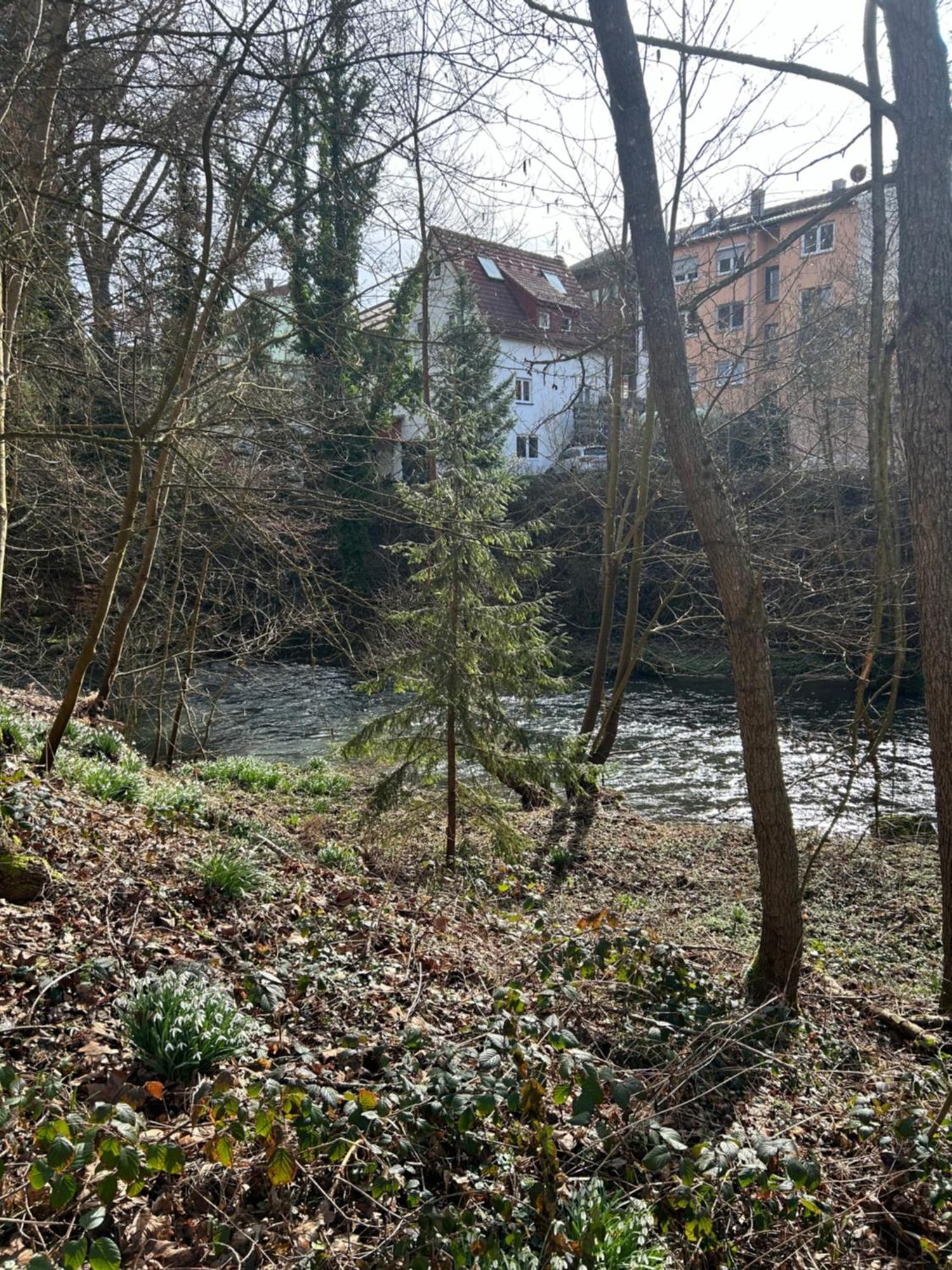 Villa Am Fluss Pforzheim Exteriér fotografie